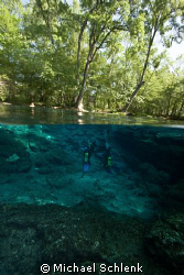 Scuba training @ Ginnie Springs
Freshwater diving in the... by Michael Schlenk 